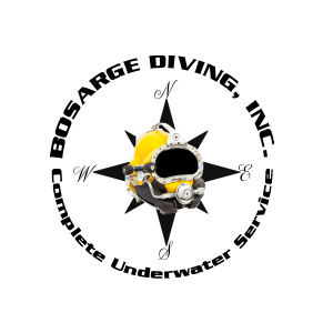 bdi logo best