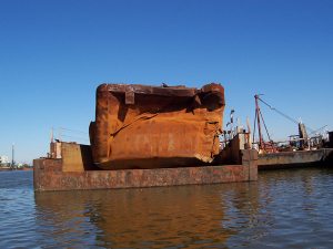 salvagenew