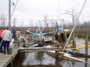 salvagenew3
